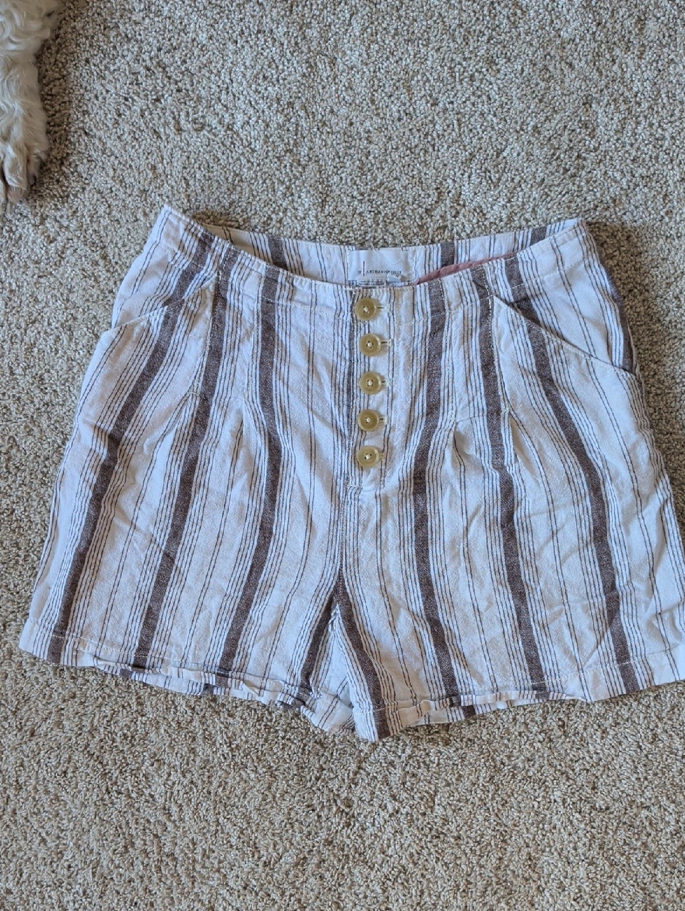 Anthropologie Striped High-Waist Button-Front Shorts — Cream & Brown